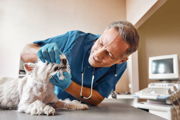 Best Dentist for Dental Trauma  in Cactus, TX